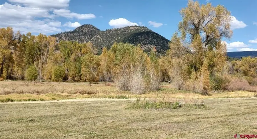 80 Iron Bridge Ct., South Fork, CO 81154 - #2