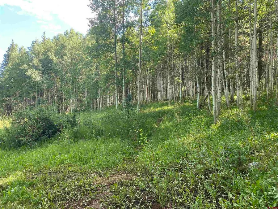 15050 145 Highway, Rico, CO 81332 - #3