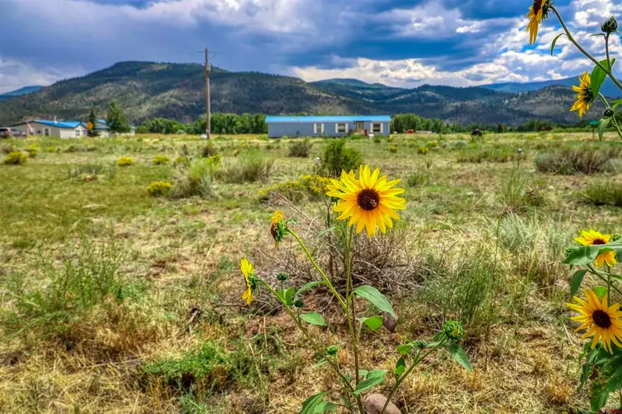 227 Red Feather Road, South Fork, CO 81154 - #2