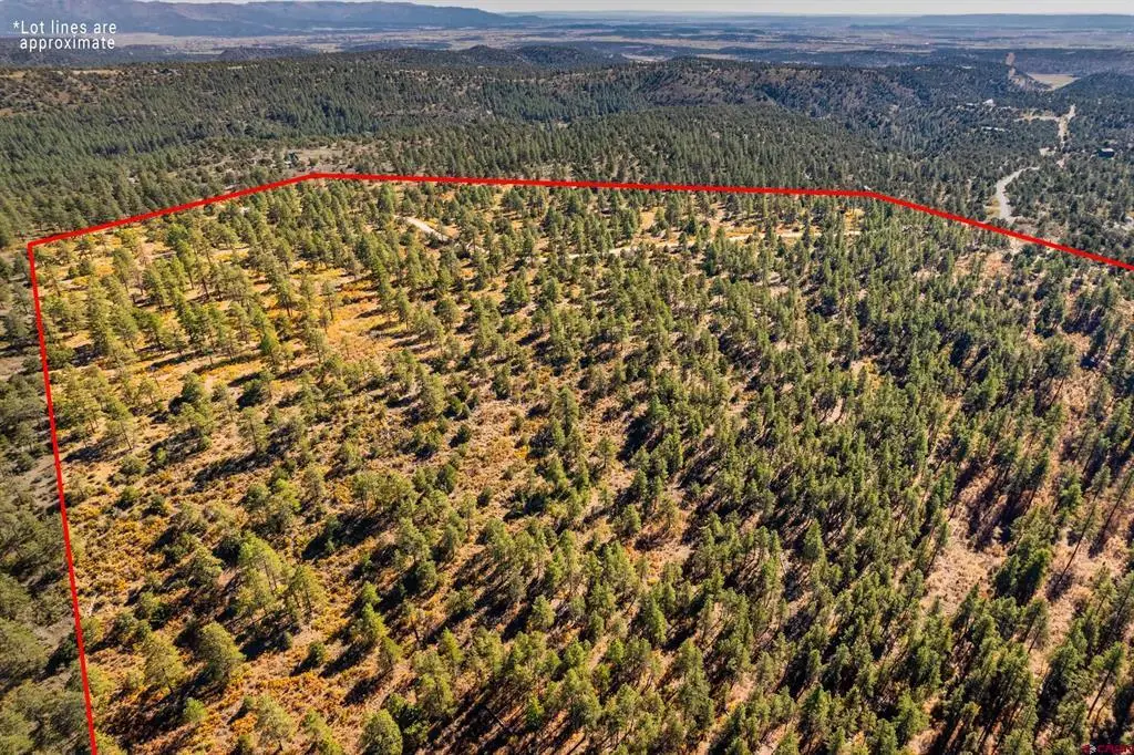 Lot 3 Foxfire Ranch, Bayfield, CO 81122 - #1