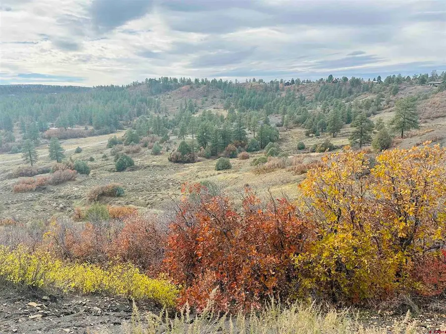 633 E Mccabe Street, Pagosa Springs, CO 81147 - #2