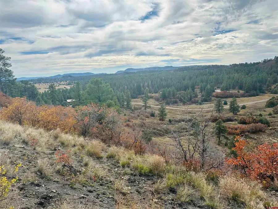 633 E Mccabe Street, Pagosa Springs, CO 81147 - #3