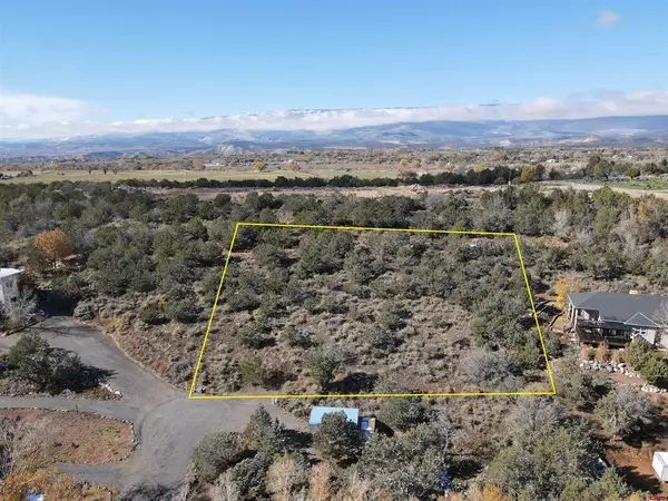 240 SE Flintlock Court, Cedaredge, CO 81413