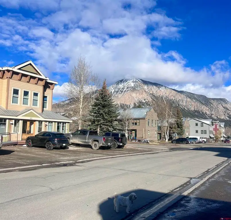 422 Belleview Avenue, Crested Butte, CO 81224 - #2