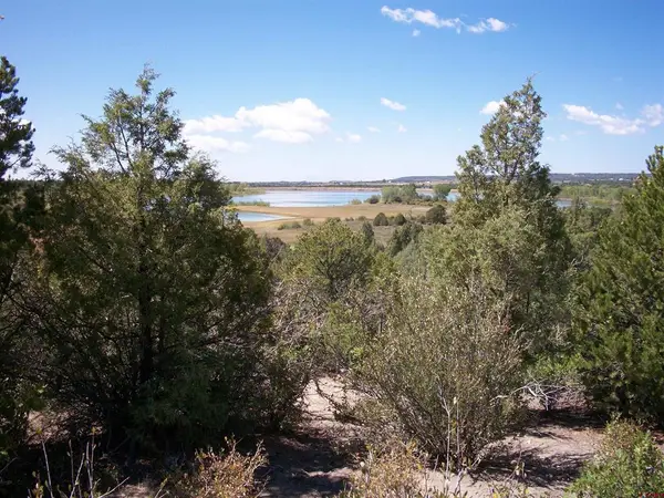 13989 Road 35.6, Mancos, CO 81328