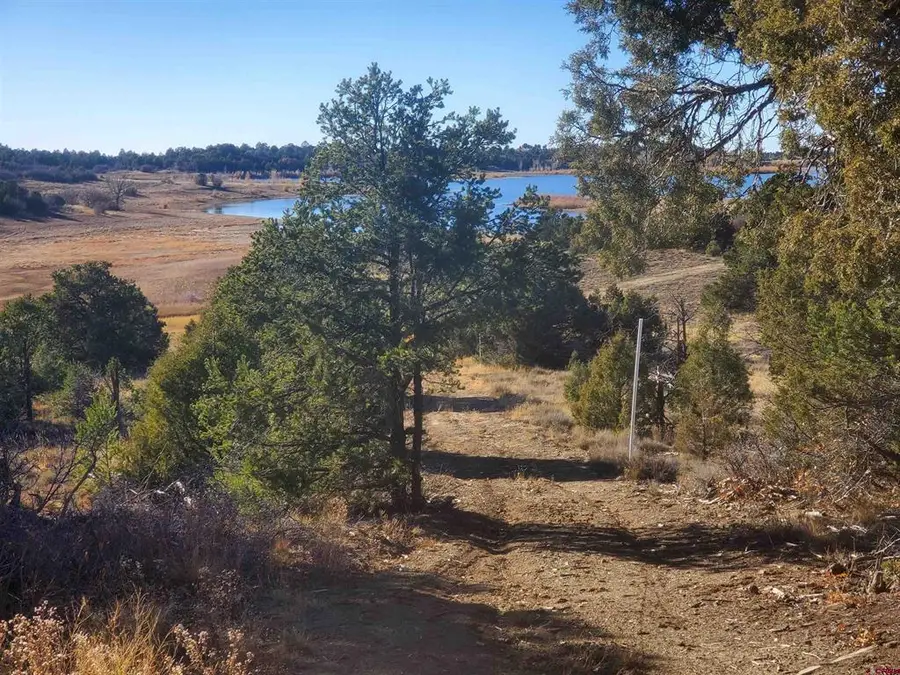 13989 Road 35.6, Mancos, CO 81328 - #3