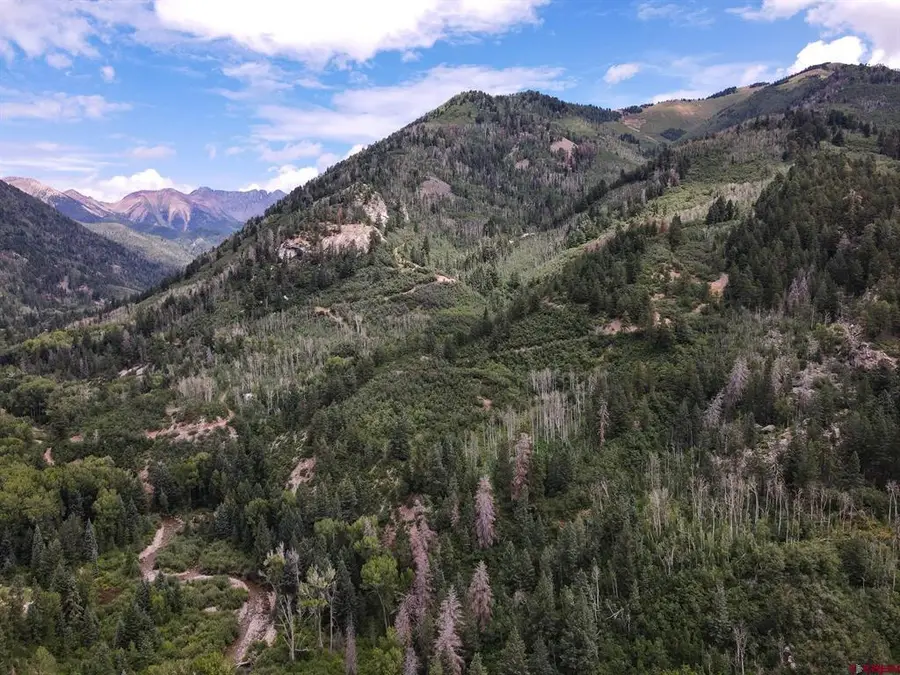TBDWP County Road 124, Hesperus, CO 81326 - #2