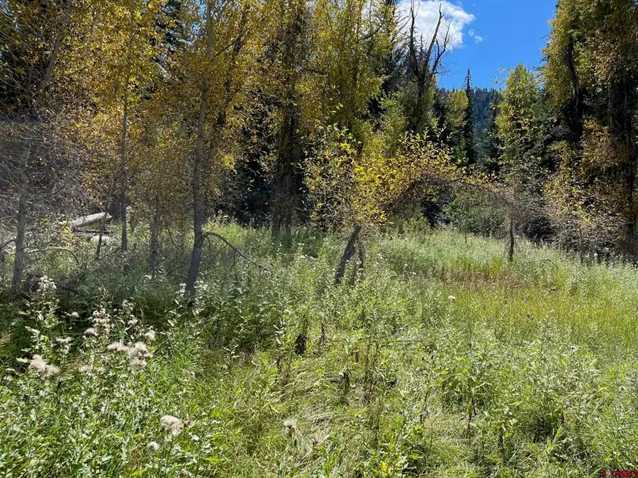 13544 County Road 240, Durango, CO 81301 - #3