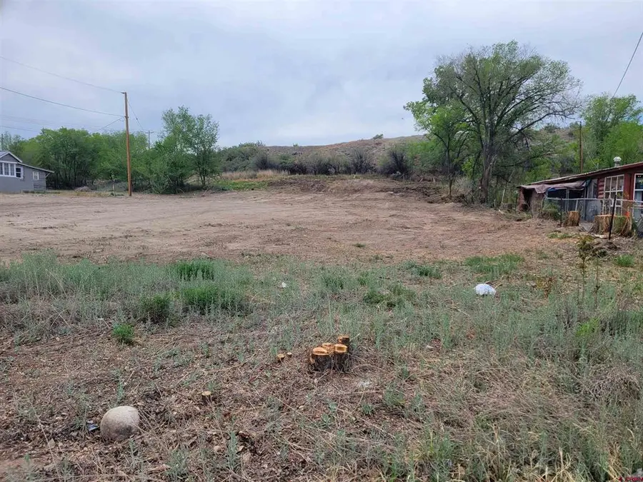 TBD Crawford Avenue, Delta, CO 81416 - #2