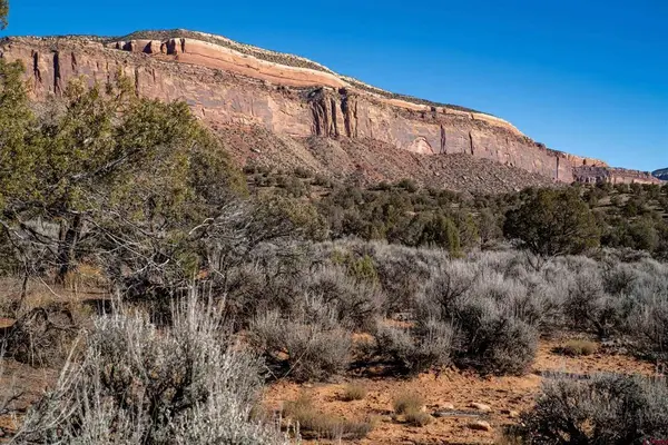 TBD Na Road, Paradox, CO 81429