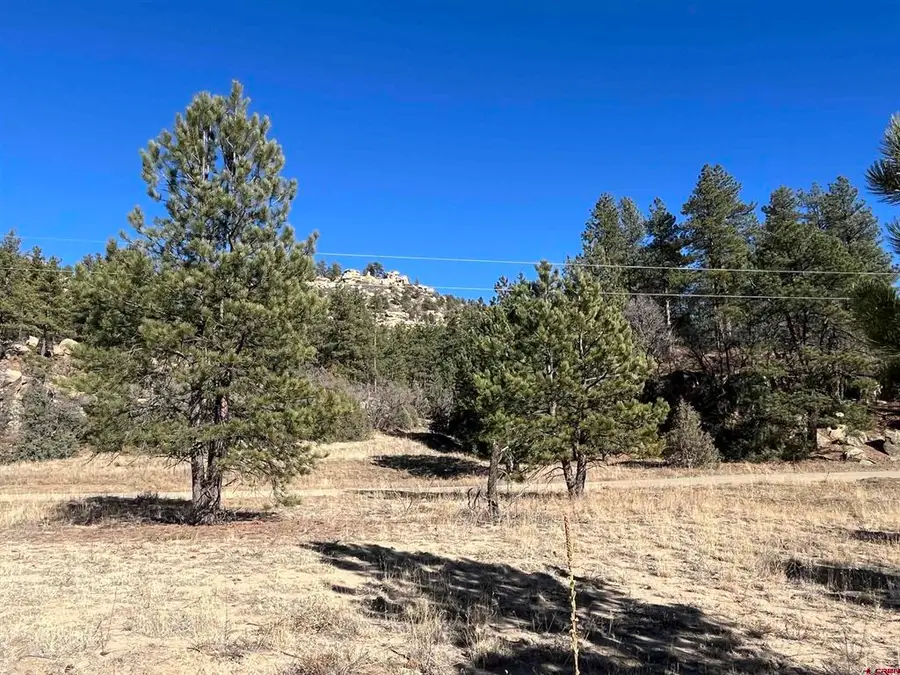 TBD San Pablo Canyon Lot 6, Weston, CO 81082 - #3