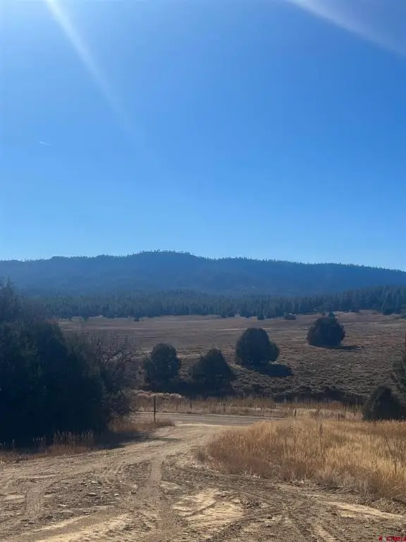 3924 County Road 700, Pagosa Springs, CO 81147 - #1