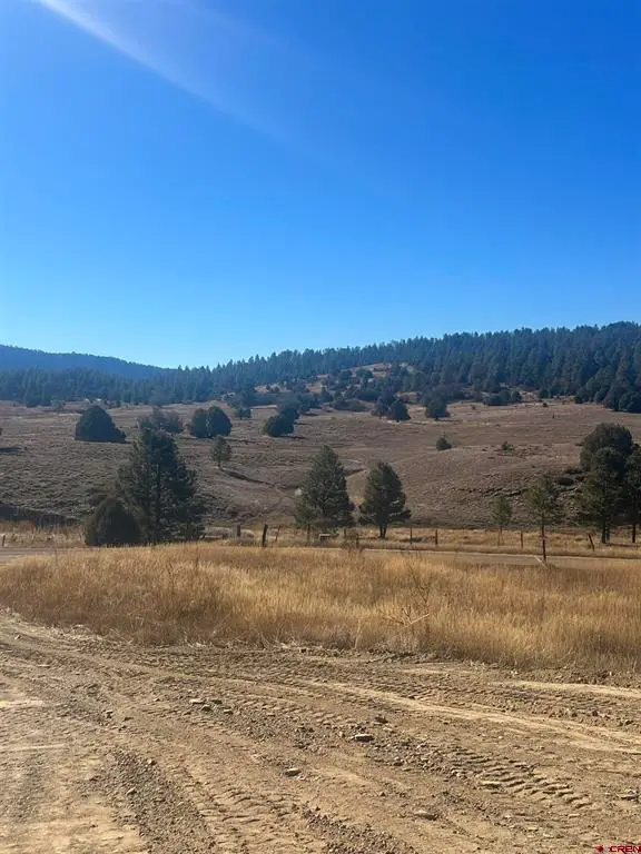 3924 County Road 700, Pagosa Springs, CO 81147 - #3