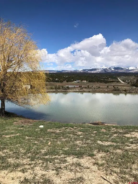 37988 & 38014 Highway 184, Mancos, CO 81328 - #1