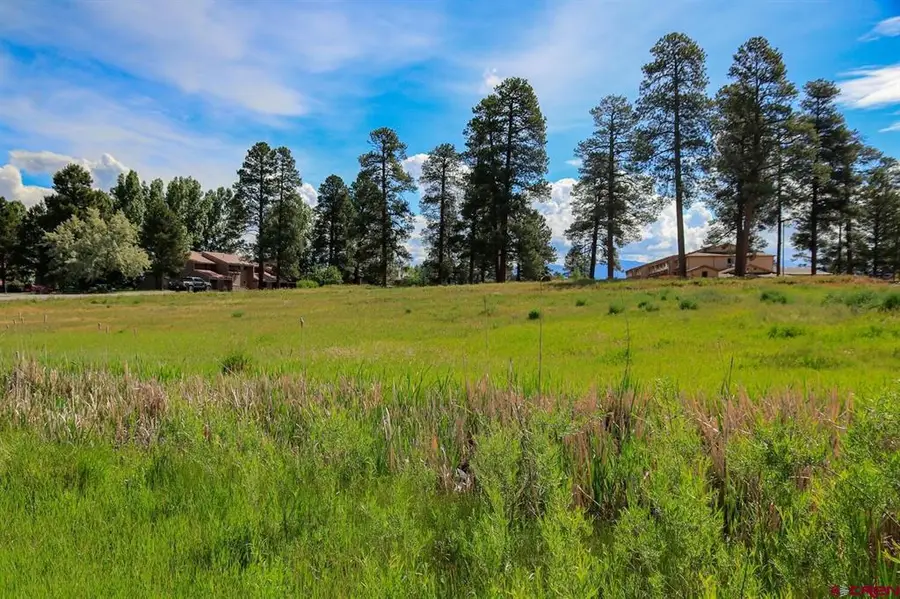 63 Talisman Drive, Pagosa Springs, CO 81147 - #2