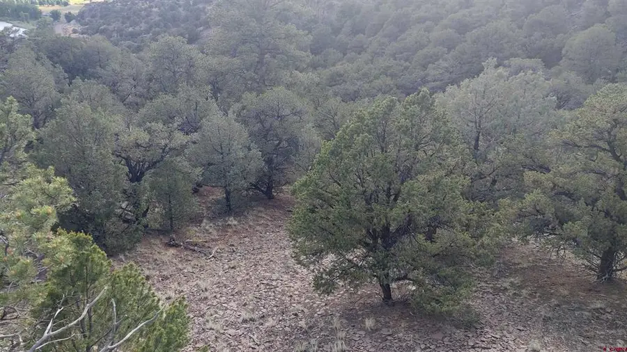 37 Turkey Creek Road, South Fork, CO 81154 - #3
