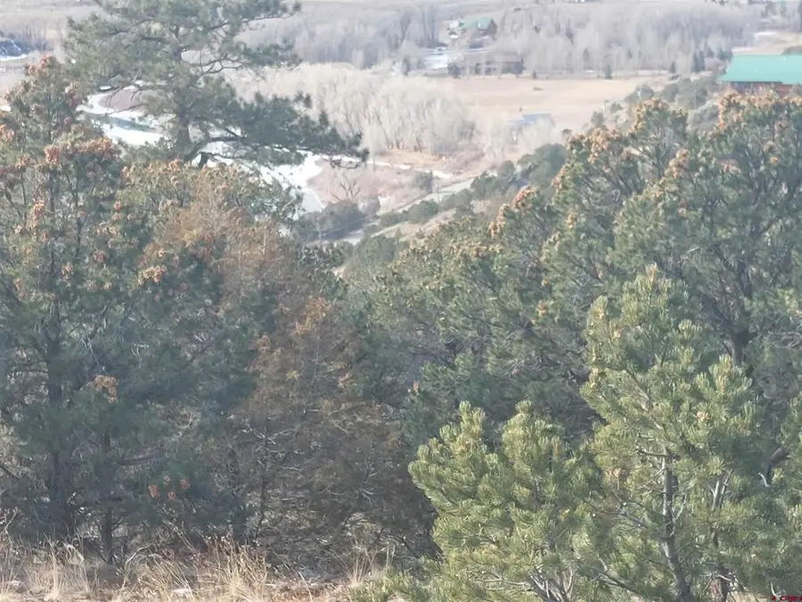 119 Cactus Road, South Fork, CO 81154 - #3