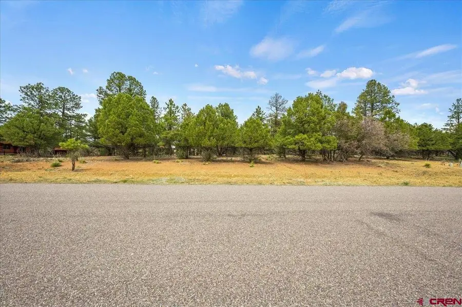 681 Marmot Drive, Ridgway, CO 81432 - #3