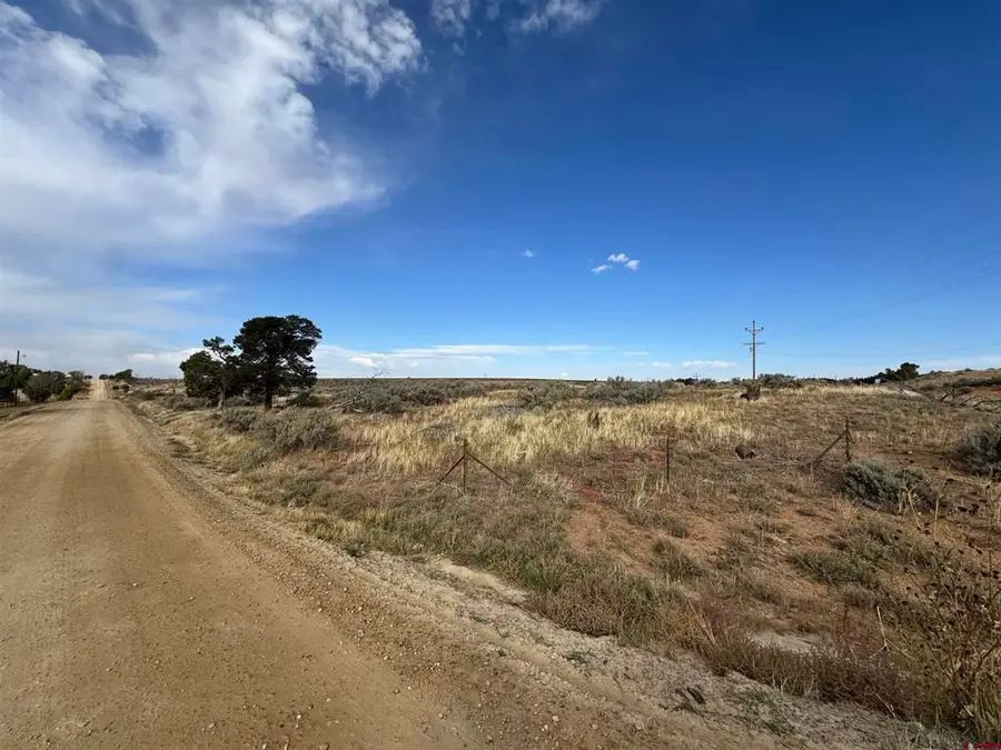 12040 Road N, Cahone, CO 81320 - #2