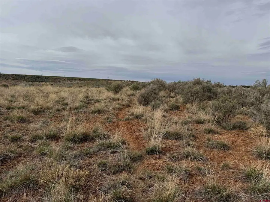 12040 Road N, Cahone, CO 81320 - #3