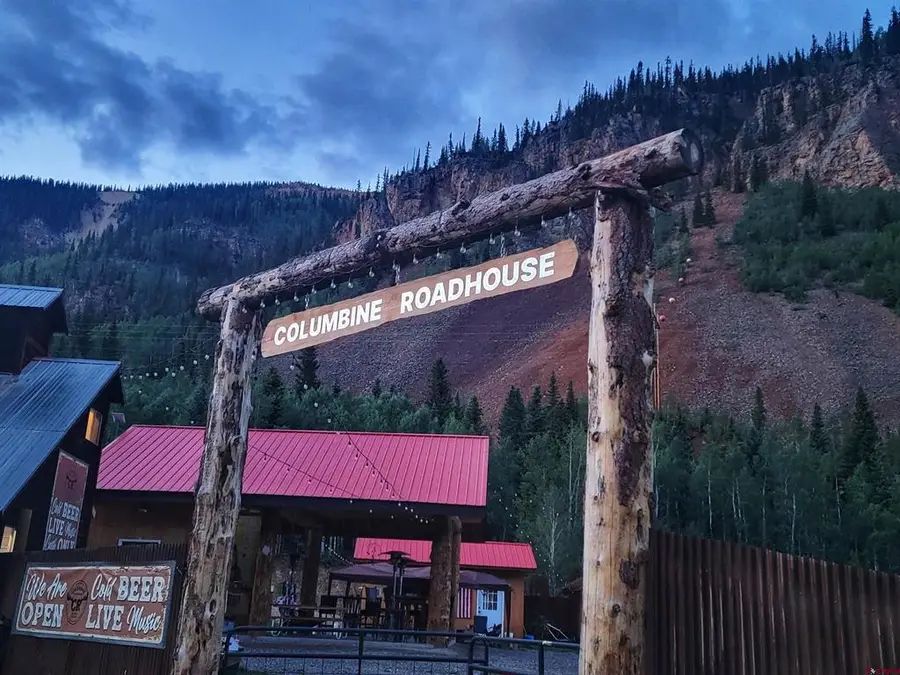 71450 Us Highway550, Silverton, CO 81433 - #3
