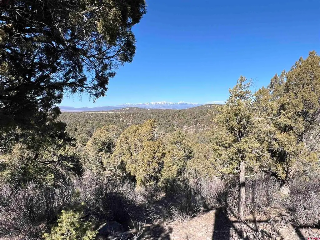7371 County Road 310, Ignacio, CO 81137 - #1