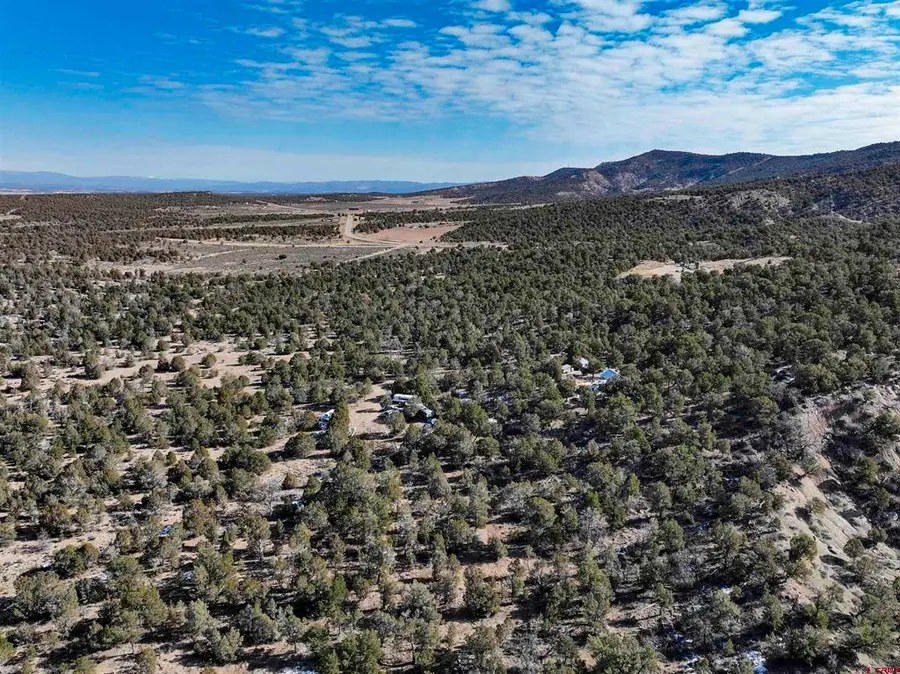 7371 County Road 310, Ignacio, CO 81137 - #2