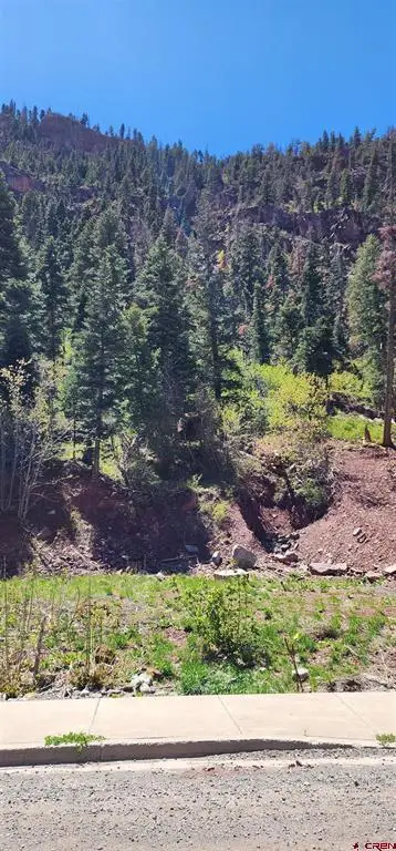 Lot 17 Hinkson Terrace, Ouray, CO 81427 - #2