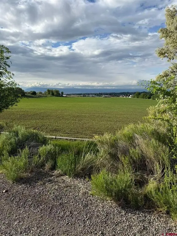tbd Kiowa Road, Montrose, CO 81403 - #3