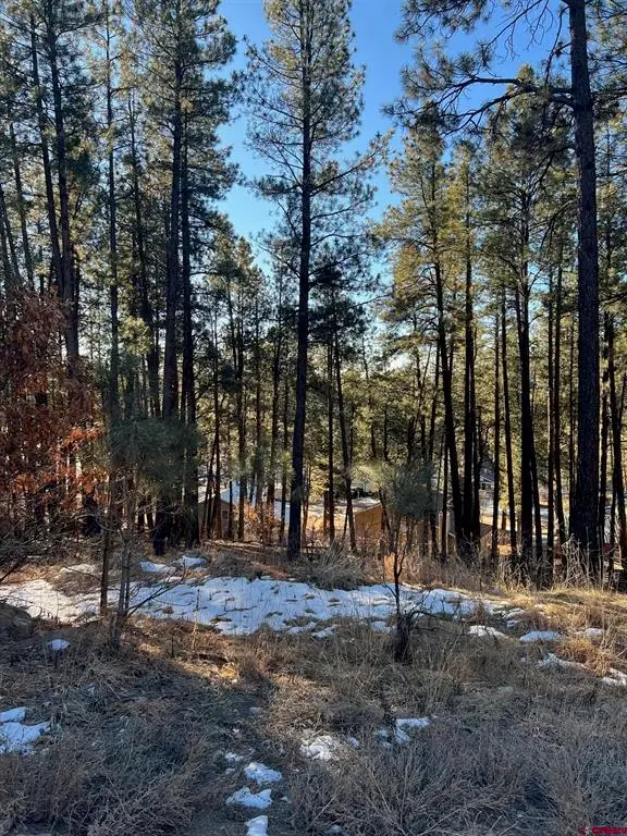 567, 581, 591 Mesa Drive, Bayfield, CO 81122