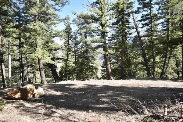 Lots 7-12 Blk 91, Jasper, CO 81144