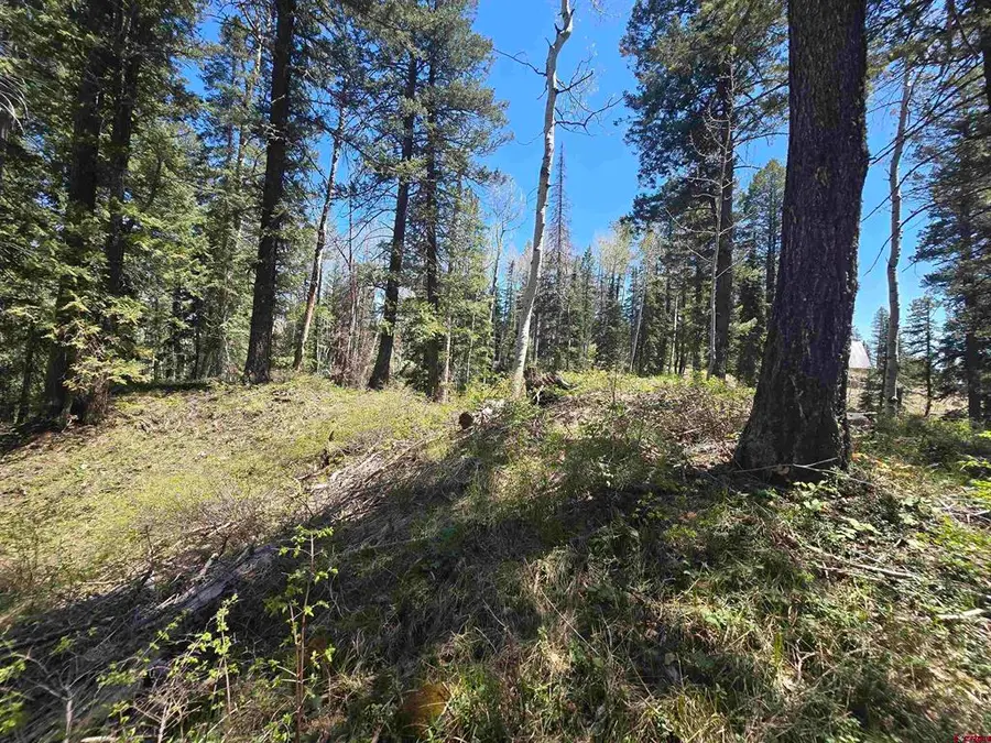 331 Beaver Circle, Durango, CO 81301 - #3