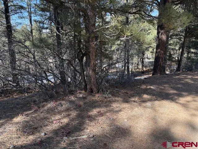 78 Heather Place, Pagosa Springs, CO 81147 - #1
