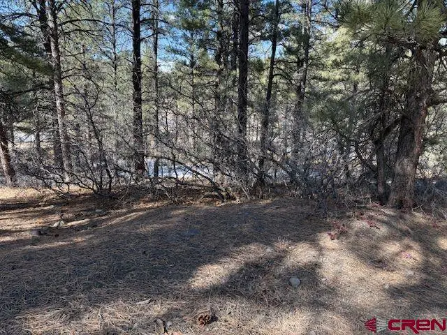 78 Heather Place, Pagosa Springs, CO 81147 - #3