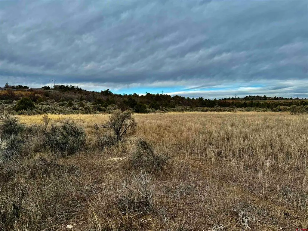 000 T5 Road, Dolores, CO 81323 - #1