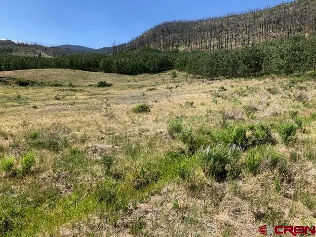 1875 Willow Park Drive, South Fork, CO 81154 - #2