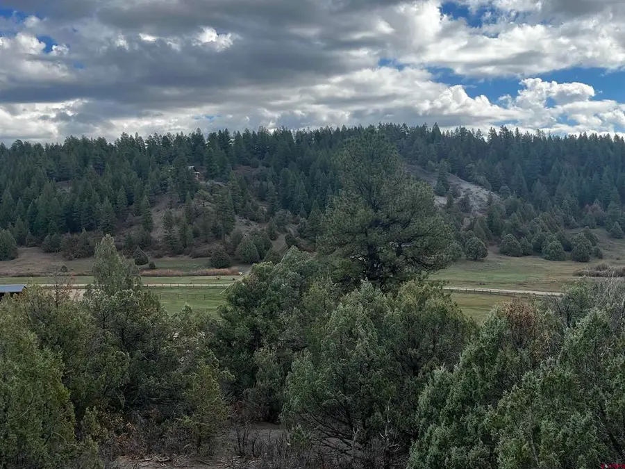 1146 Harvard Avenue, Pagosa Springs, CO 81147 - #2