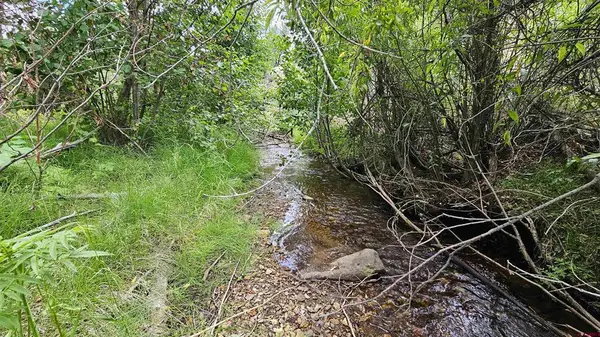 175 Bear Cub Hollow, South Fork, CO 81154