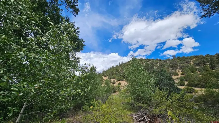 175 Bear Cub Hollow, South Fork, CO 81154 - #2