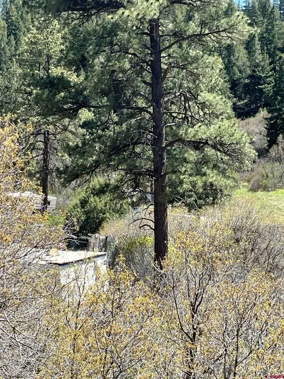 367 Echo Ln., Pagosa Springs, CO 81147 - #2