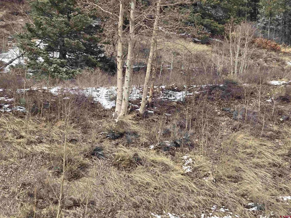 SDCR Unit R2 Balleroy, Fort Garland, CO 81133 - #1