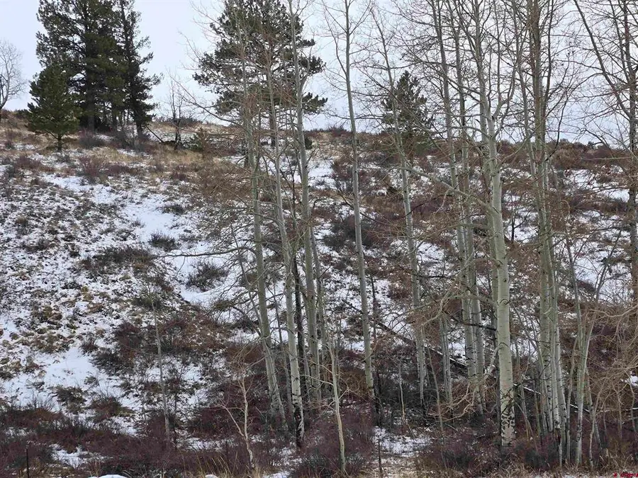 SDCR Unit R2 Balleroy, Fort Garland, CO 81133 - #3