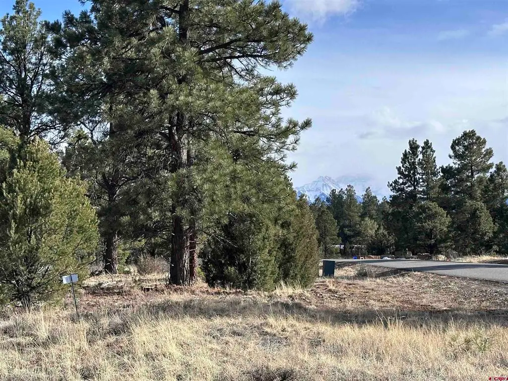1960 Marmot Drive, Ridgway, CO 81432 - #1