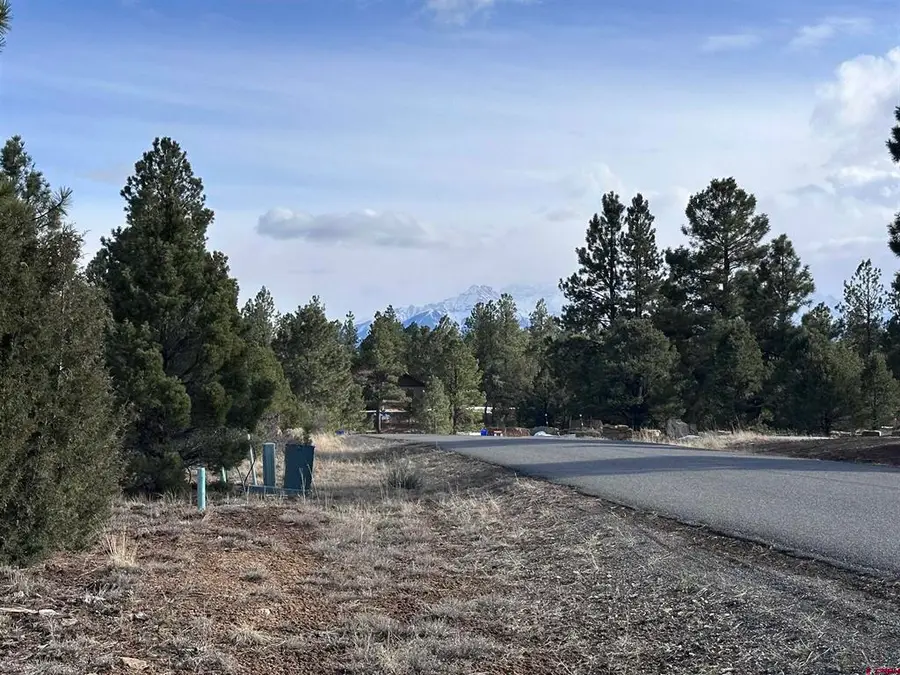 1960 Marmot Drive, Ridgway, CO 81432 - #2