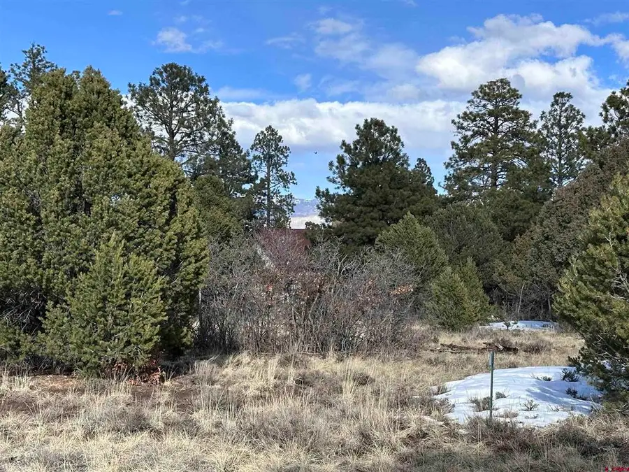 1960 Marmot Drive, Ridgway, CO 81432 - #3