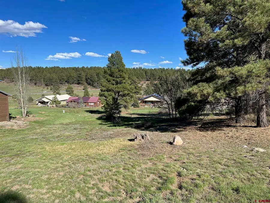 18 Balfour Court, Pagosa Springs, CO 81147 - #2