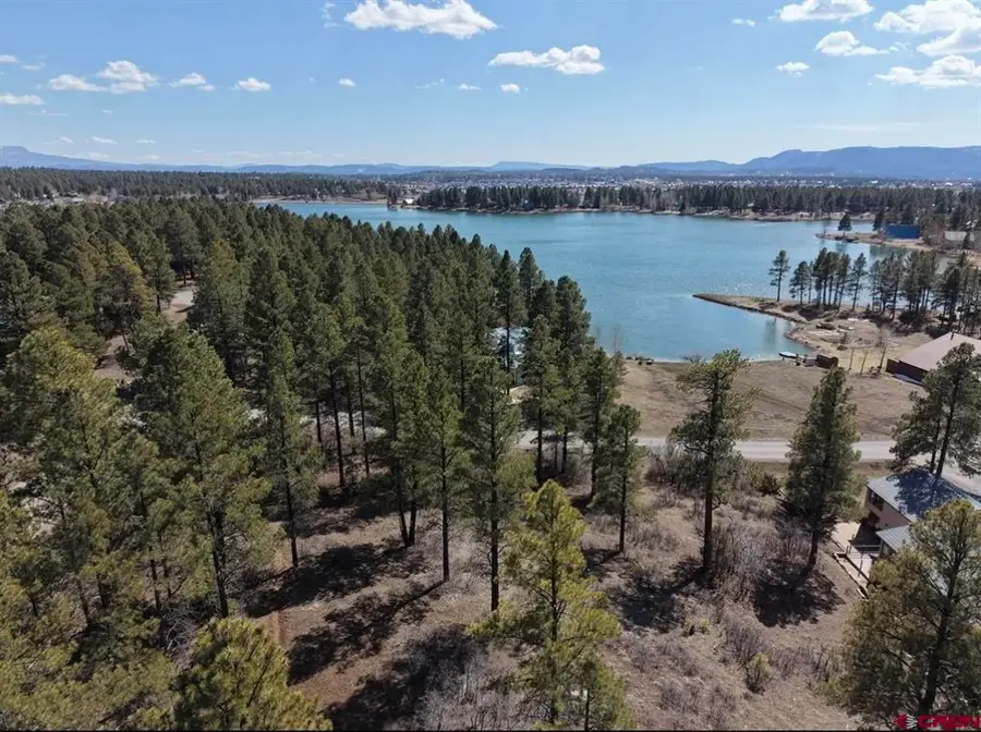 1318 Cloud Cap Avenue, Pagosa Springs, CO 81147 - #3