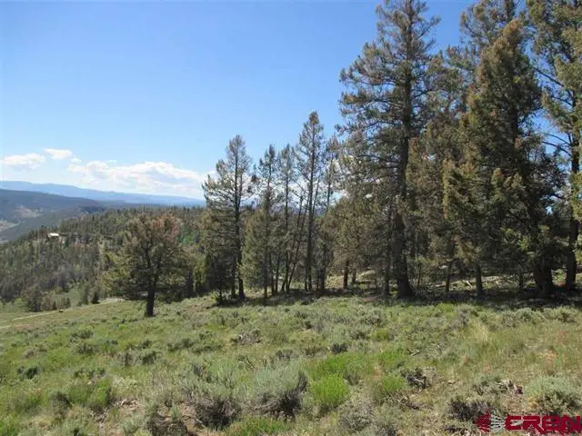 308 Cinnamon Trail, Powderhorn, CO 81243 - #1