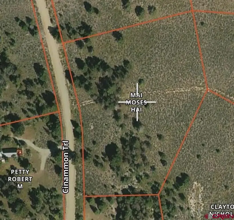 308 Cinnamon Trail, Powderhorn, CO 81243 - #2