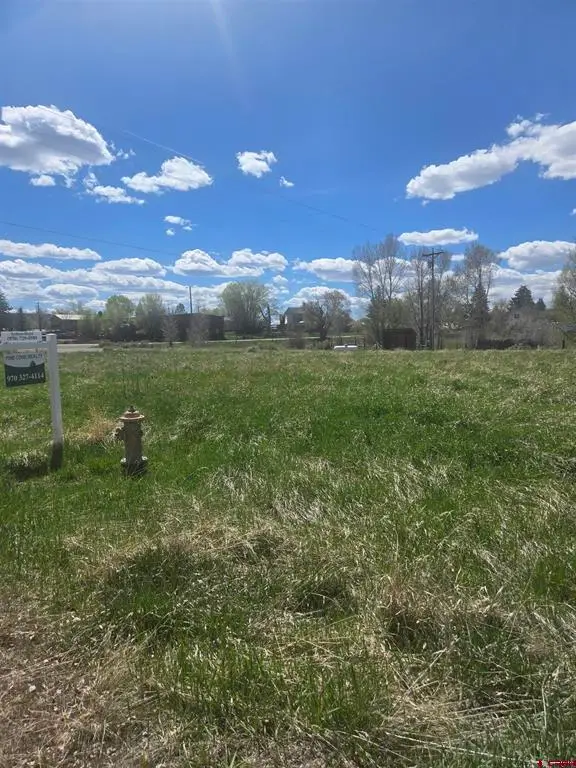 1130 Forest Street, Norwood, CO 81423 - #1